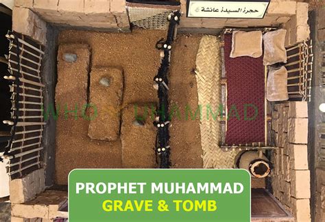 Fact Check: Did Cockroaches Invade Grave of Prophet Muhammad and .